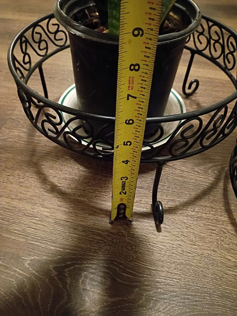 Set of 3 Decorative Metal Plant Stands - Black Scrollwork